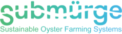 Submürge | Sustainable Oyster Farming Systems